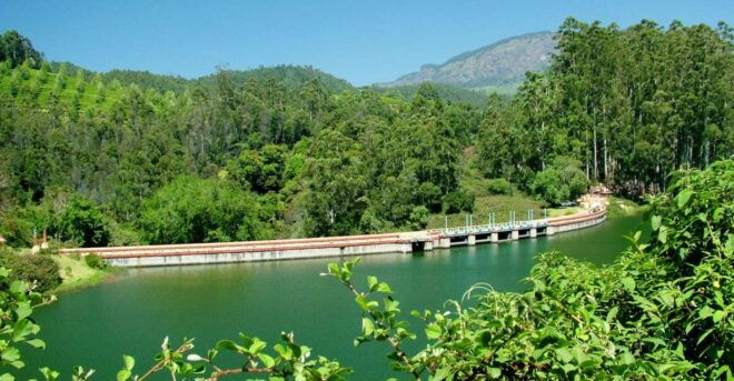 Munnar Site-Seeing Tour - Tour Itinerary and Transportation