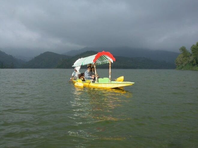 Munnar Site-Seeing Tour - Drivers Languages and Group Type
