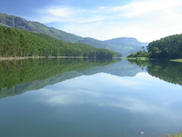Munnar Site-Seeing Tour - Additional Tour Information