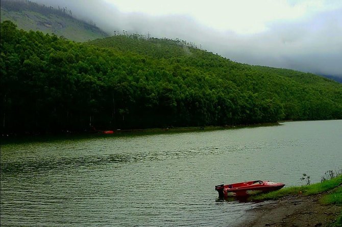 Munnar Site-seeing Tour - Tour Highlights