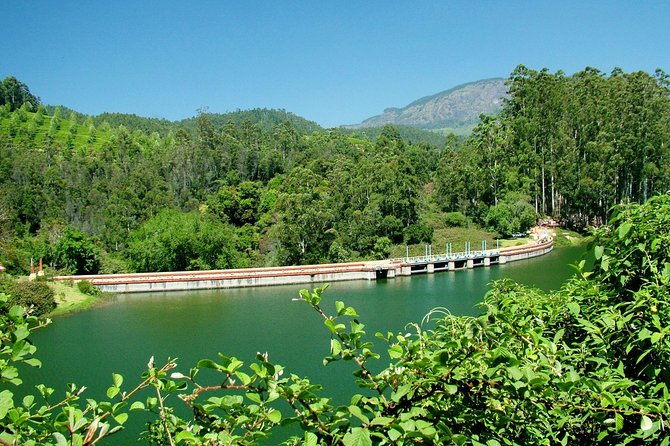 Munnar Site-seeing Tour - Traveler Reviews