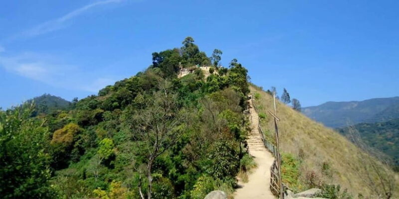 Munnar: Sunrise Trekking Adventure with Breakfast - Good To Know