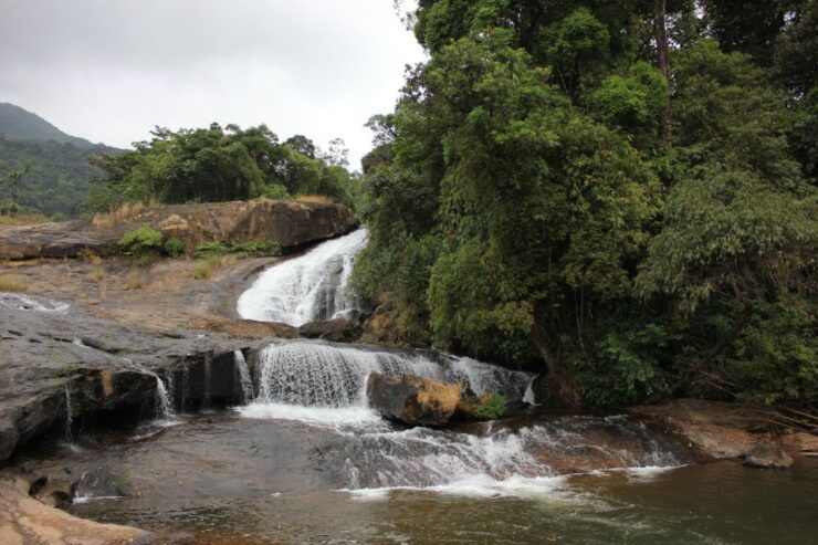Munnar Tea Garden and Elephant Visiting Safari 4*4 - Languages and Pickup