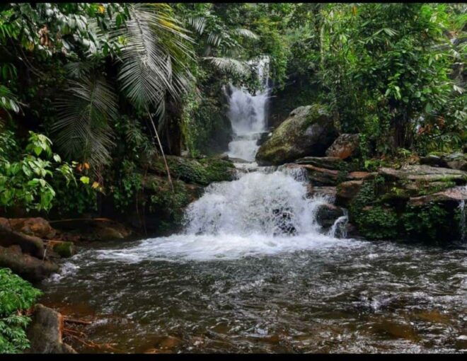 Munnar Tea Garden and Elephant Visiting Safari 4*4 - Inclusions and Exclusions