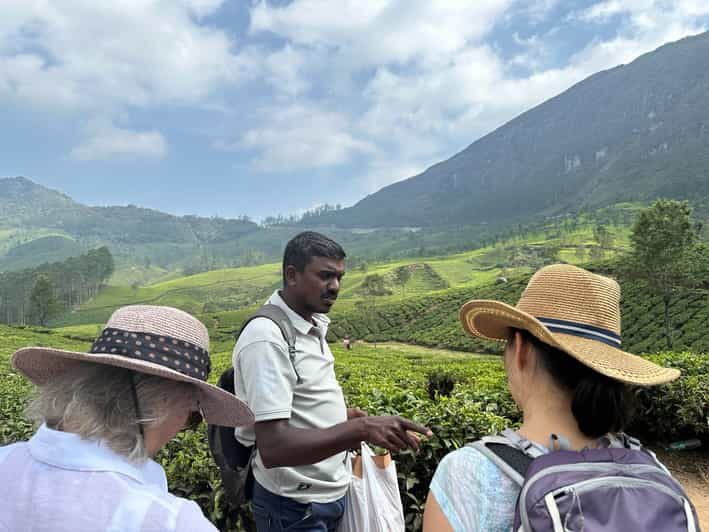 Munnar: Tea trail, Tea Factory, and Tea Tasting Tour - Who Will Love This Tour?