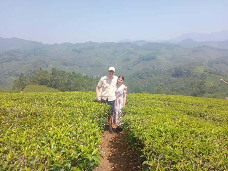 Munnar: Tea trail, Tea Factory, and Tea Tasting Tour - Good To Know  