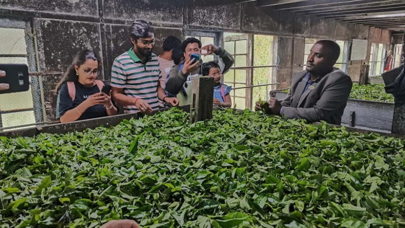 Munnar: Tea trail, Tea Factory, and Tea Tasting Tour - Exploring the Itinerary: What You Can Expect  