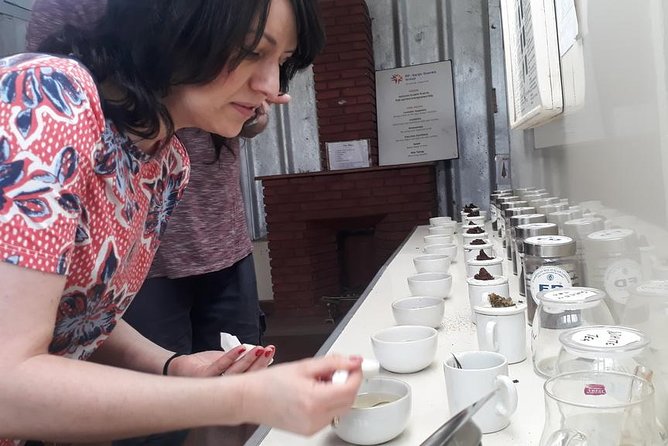 Munnar Tea Trail With Factory Experience ( by Munnar Info) - Factory Experience Overview