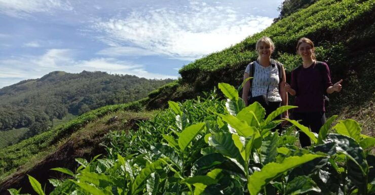 Munnar Tea Trek - Starting Location and Transportation Options