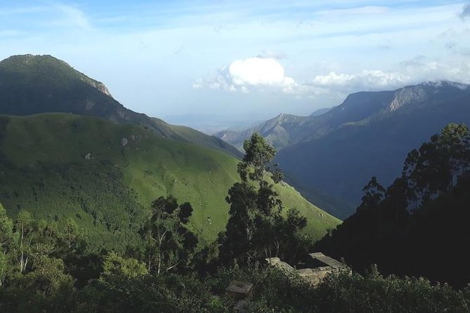 Munnar Tea Valley Tour ( by Munnar Info) - Tour Pricing and Booking Details