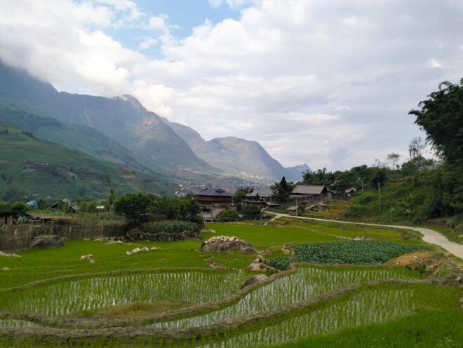 Muong Hoa - Lao Chai - Ta Van Half Day - Trekking Experience