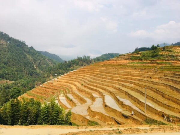 Muong Hoa Valley Trek 2 Days With Local Guide - Frequently Asked Questions