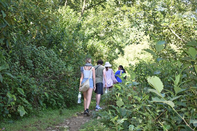 Muong Hoa Valley View & Village Trek in Sapa 1 Day - Captivating Views of Muong Hoa Valley