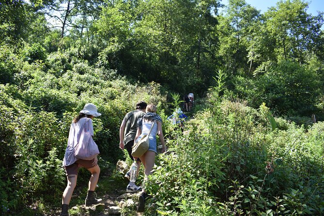 Muong Hoa Valley View & Village Trek in Sapa 1 Day - Highlights of a One-Day Trek in Sapa