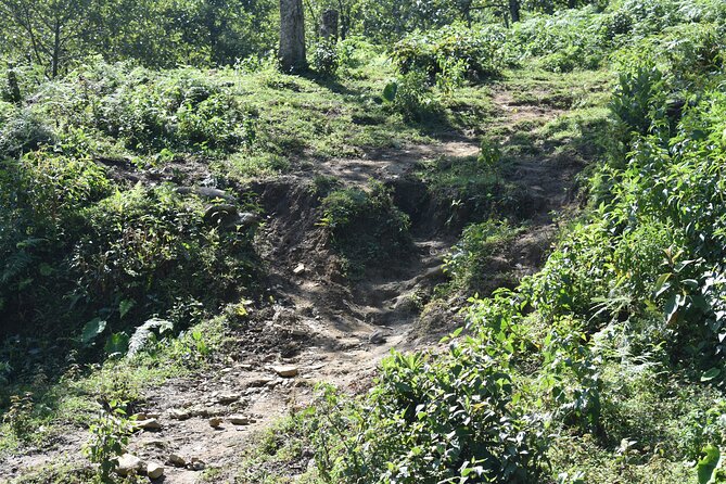 Muong Hoa Valley View & Village Trek in Sapa 1 Day - Practical Information for Your Muong Hoa Valley Adventure