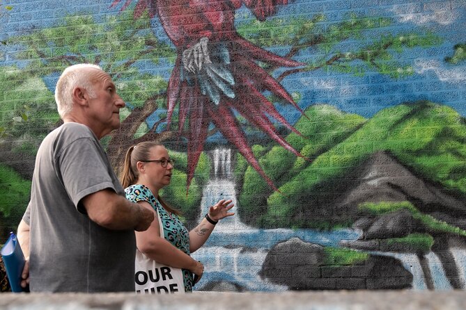 Mural Street Art Tour in Arnhem ( Just 1h From Amsterdam by Train) - Insightful Commentary on the Art
