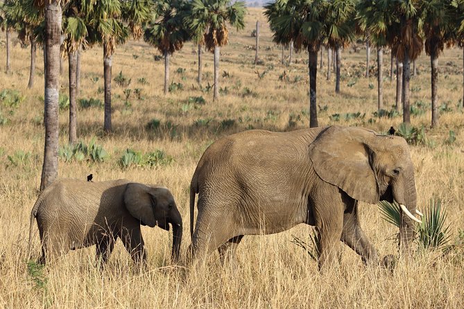 Murchison Falls Nature Safari - Inclusions and Exclusions
