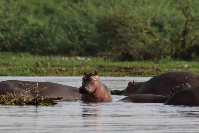 Murchison Falls Nature Safari - Additional Information for Participants