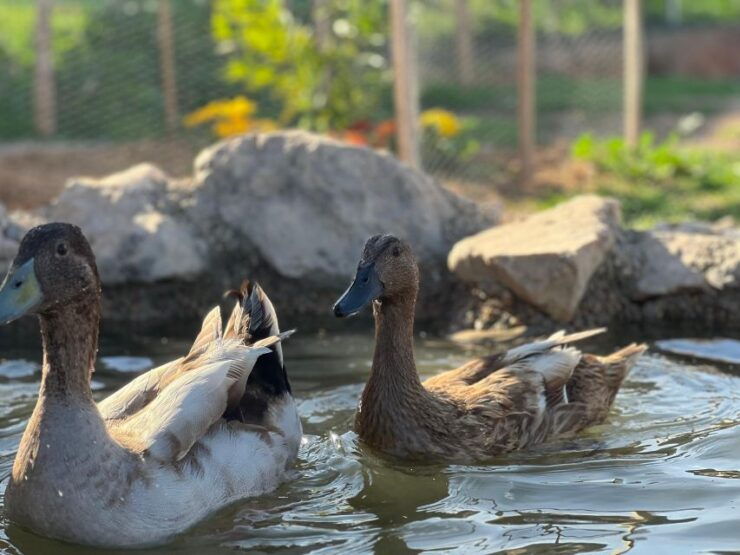 Murcia, Astronomy Night in Finca Astronomica - Good To Know
