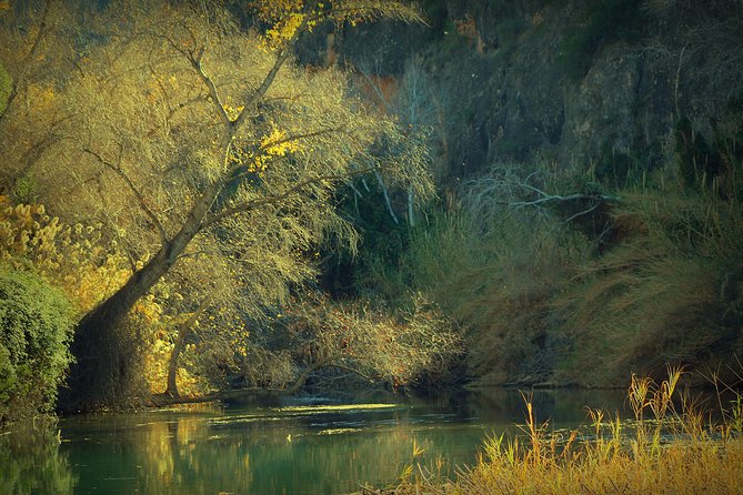 Murcia: Rafting in the Almadenes Canyon, Visit to Two Caves and Photos - Reviews and Pricing for the Rafting Experience