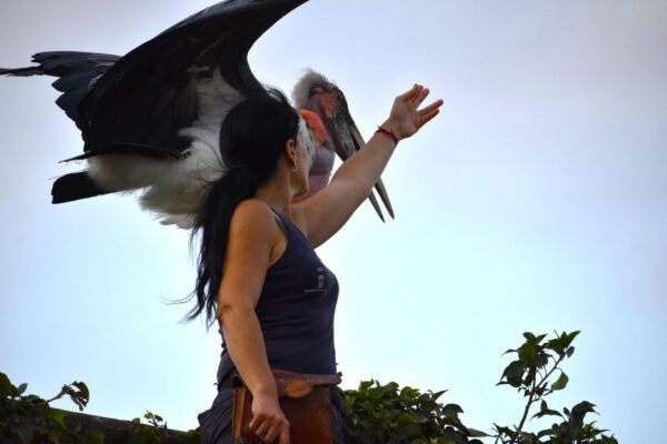 Murcia: Terra Natura Murcia Ticket Entry - Dining Options and Customer Reviews