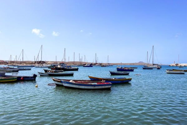 Murdeira: Sal Island Nature Reserve and Fishing Village Tour - The Sum Up