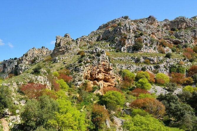 Murgia Materana Park Tour - Cancellation Policy