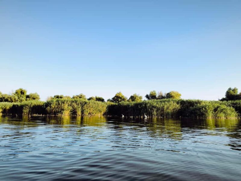 Murighiol: Danube Delta Guided Boat Tour - Murighiol: Danube Delta Guided Boat Tour