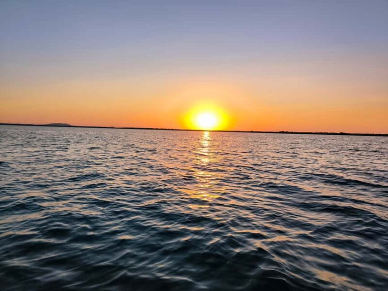 Murighiol: Danube Delta Guided Boat Tour - Who Should Consider This Tour?