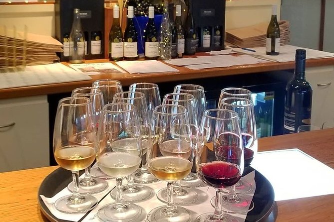 Muriwai Scenic Gannet & Wine Experience Incl. Lunch - Day Tour From Auckland - Return Journey to Auckland