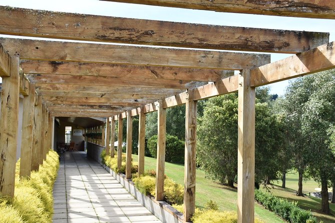 Muriwai Scenic Wine Tour From Auckland - Tour Details