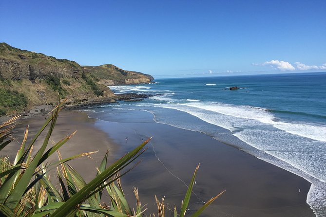 Muriwai Scenic Wine Tour From Auckland - Traveler Reviews