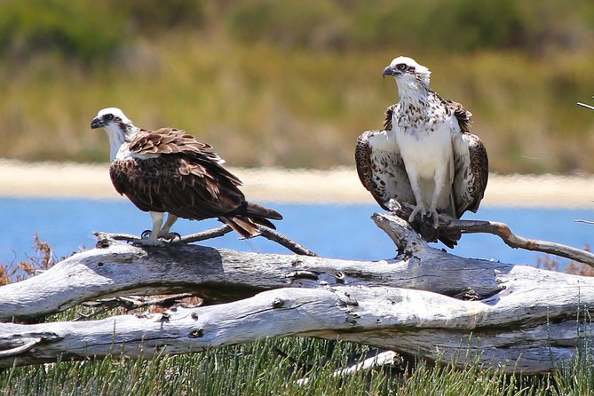 Murray River Lunch Cruise - Meeting Point and Cancellation Policy