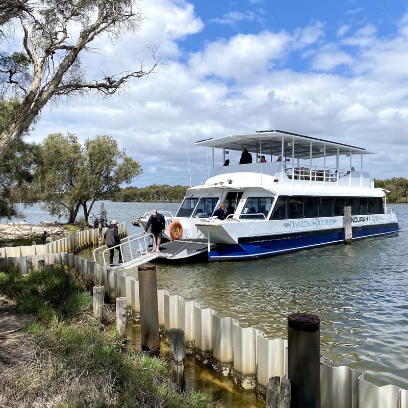 Murray River Lunch Cruise in Mandurah - What to know before you book