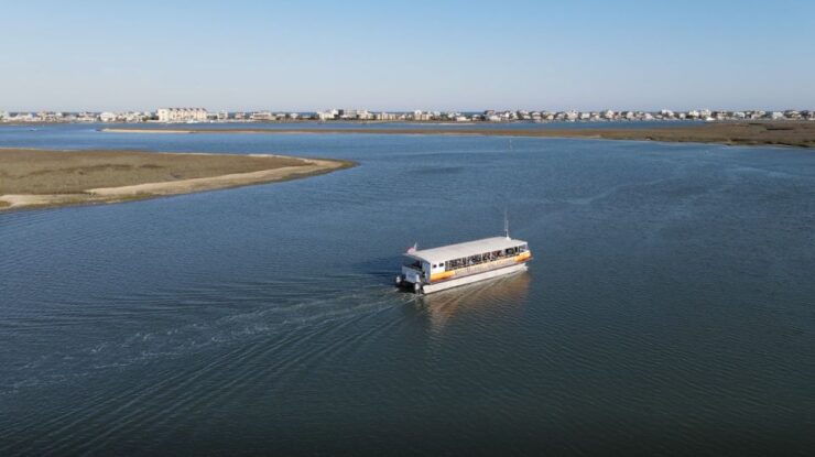 Murrells Inlet: Bird Watching Eco Tour - Tour Highlights