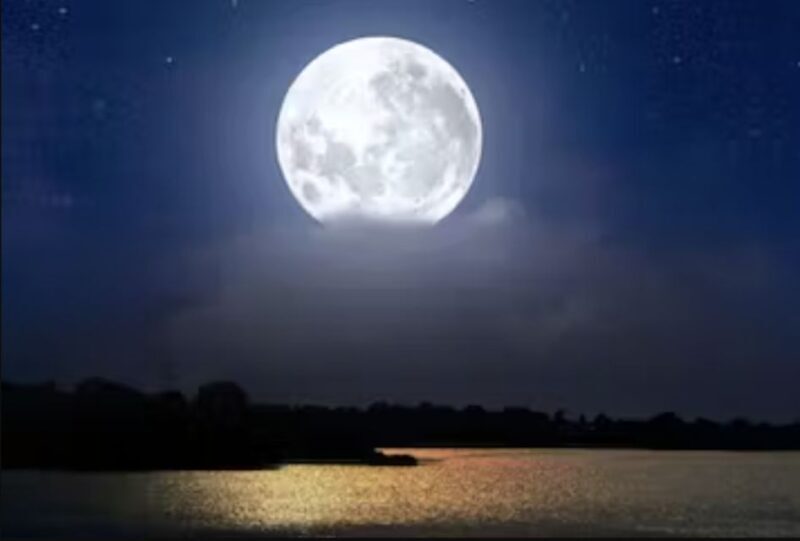 Murrells Inlet by Moonlight: Legends & Lores of the Inlet - Who Should Book This Tour?