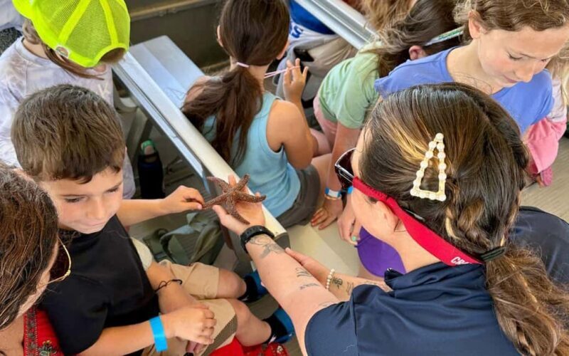 Murrells Inlet: Saltwater Marsh Eco Tour w/ Marine Biologist - What to Expect from This Murrells Inlet Eco Tour