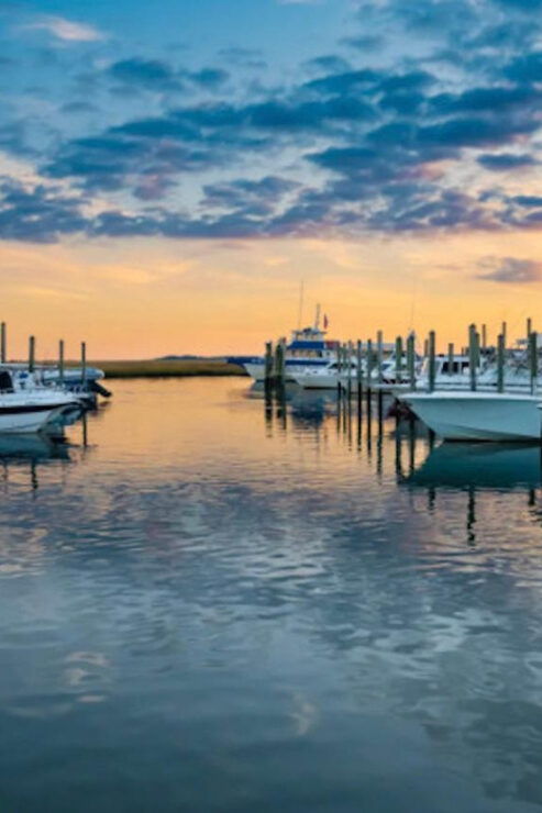 Murrells Inlet: Sunset Sealife Cruise - Highlights of the Experience