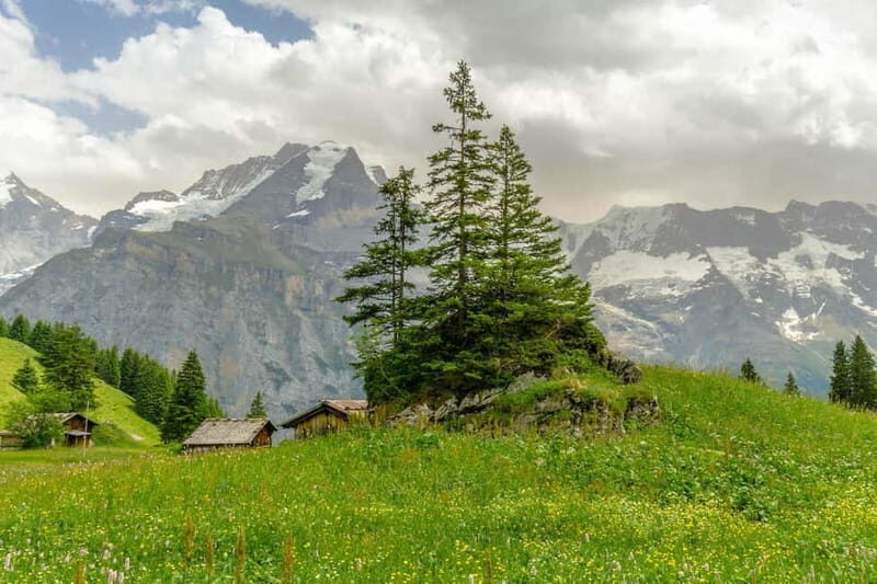 Murren - Private Guided Walking Tour - Murren Viewpoint: The Straight Shot of Scenic Grandeur