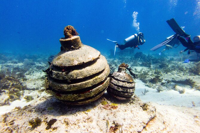 MUSA Museum and Colorful Reef 2 Tank Dive-Certified Divers - Dive Details and Inclusions