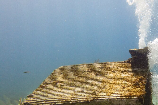 MUSA Museum and Colorful Reef 2 Tank Dive-Certified Divers - Important Information for Divers