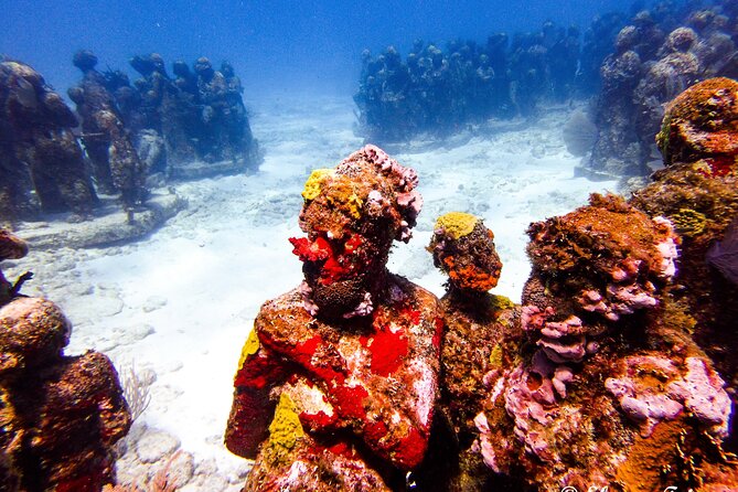 MUSA Museum and Colorful Reef 2 Tank Dive-Certified Divers - Cancellation Policy and Refund Details