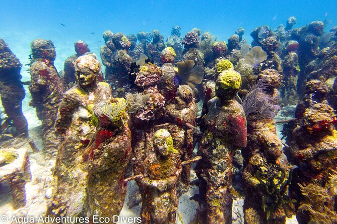 MUSA Museum and Colorful Reef 2 Tank Dive-Certified Divers - Explore Traveler Photos and Experiences