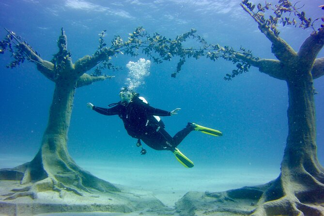 Musan Underwater Park Adventure Dive Discover Scuba Diving - Directions and Recommendations