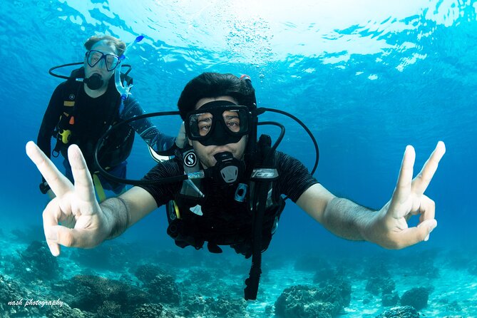 Muscat Diving Experience to Daymaniyat Islands - Good To Know