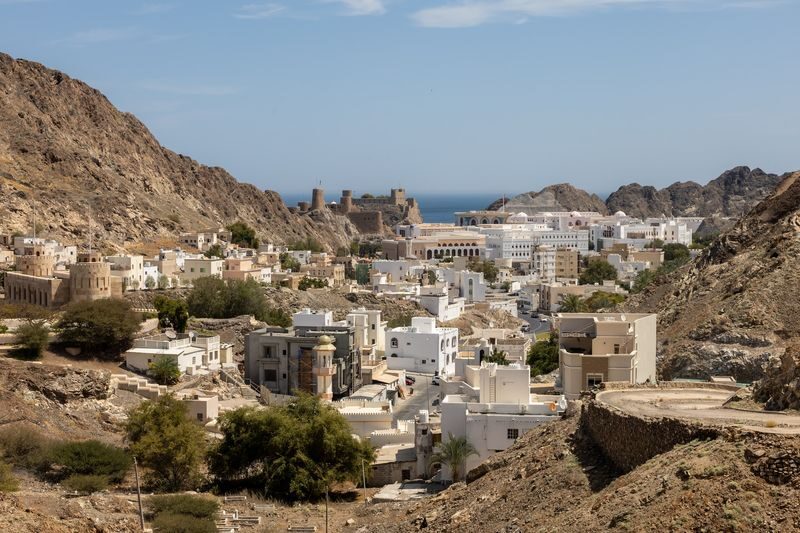 Muscat Grand Mosque & Opera House Half-Day Tour - Guides, transport and the pace of the day
