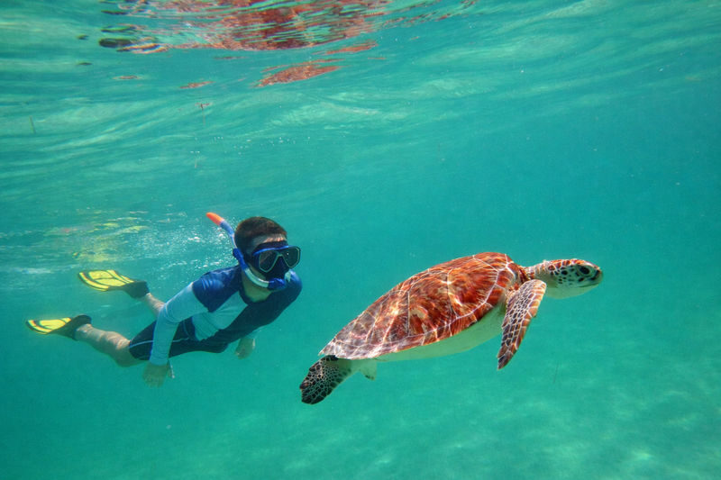 Muscat: Snorkeling with Turtles at Daymaniyat Islands Nature Reserve - At a glance: the details that shape the day