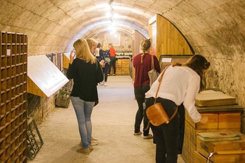 Musee du Vin et du Negoce de Bordeaux Admission - A cellar visit, not a vineyard tour