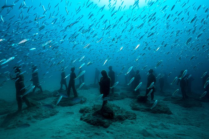 Museo Atlantico Diving Tour From Playa Blanca - Price and Terms
