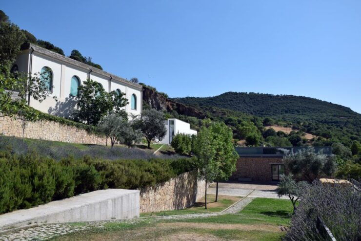 Museo Nivola Entry Ticket and Guided Tour - Booking Information